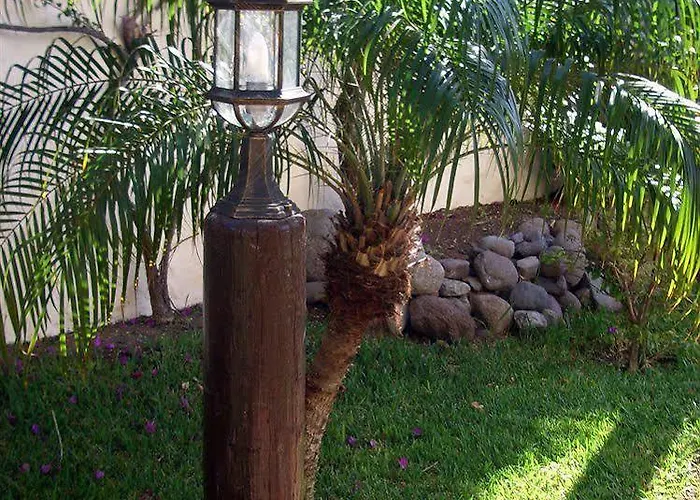 Alsol Nogal- Adults Only *