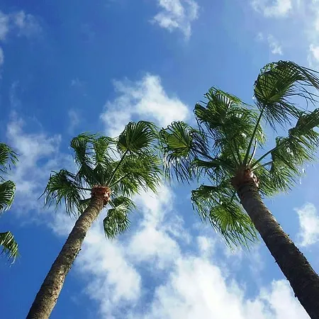 Alsol Nogal- Adults Only Playa del Inglés