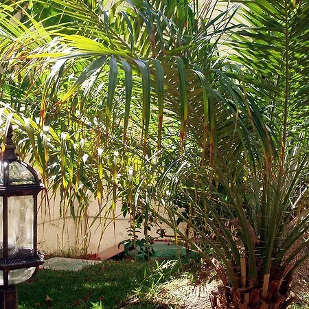Alsol Nogal (adults Only) Apartment