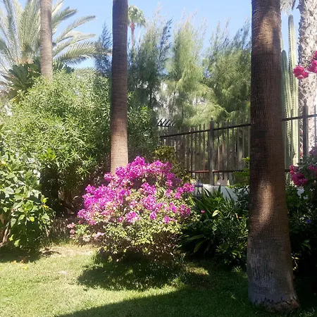 Alsol Nogal- Adults Only Плайя-дель-Инглес