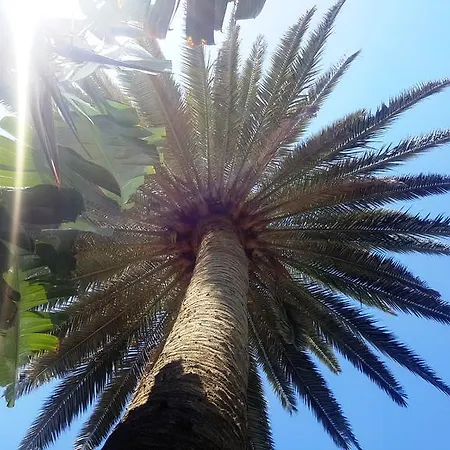 Alsol Nogal (adults Only) Apartment Playa del Ingles (Gran Canaria)