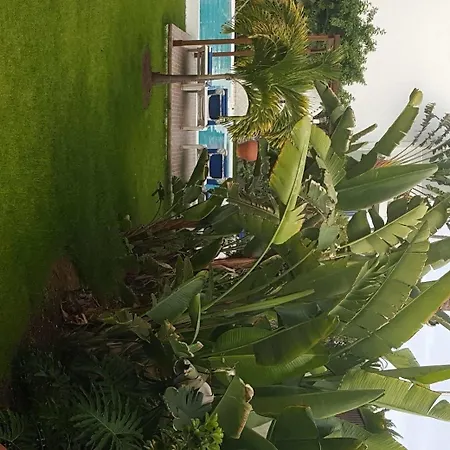 Alsol Nogal (adults Only) * Playa del Ingles (Gran Canaria)