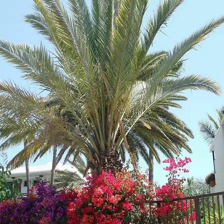 Alsol Nogal- Adults Only *