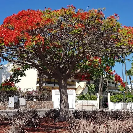 Alsol Nogal- Adults Only Apartment