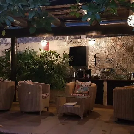 Alsol Nogal- Adults Only *