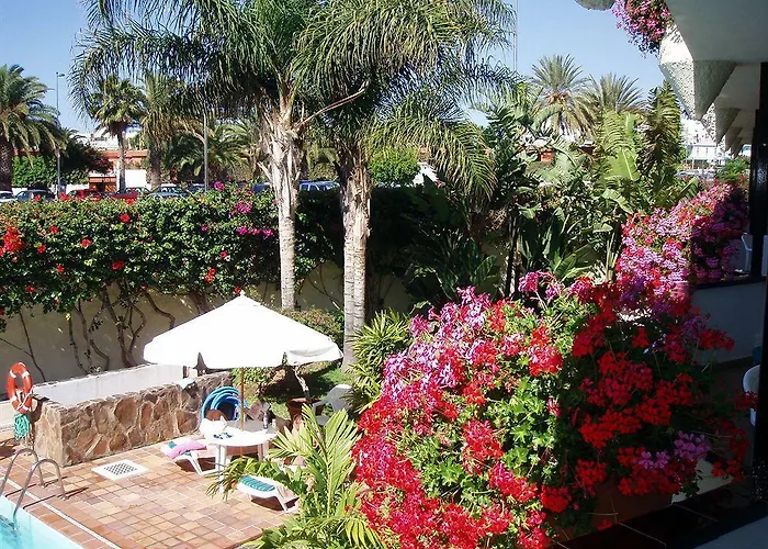 Alsol Nogal- Adults Only Playa del Ingles (Gran Canaria)