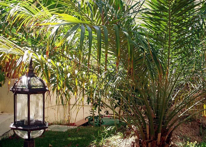 Alsol Nogal- Adults Only Apartmán