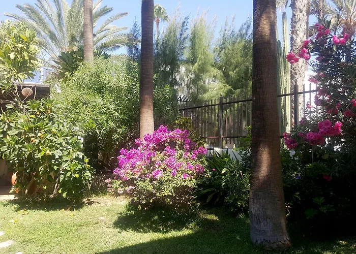 Alsol Nogal- Adults Only Playa del Ingles (Gran Canaria)