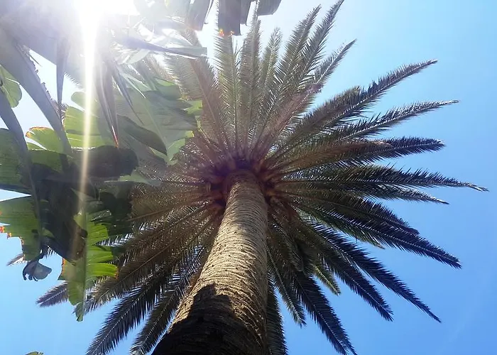 Alsol Nogal- Adults Only شقة بلايا ديل إنغلز