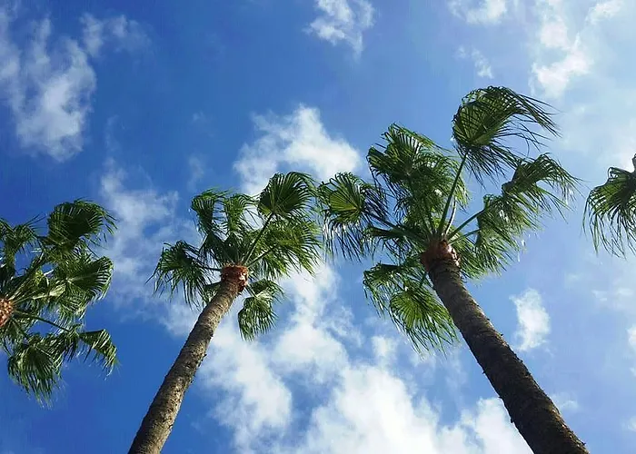 Alsol Nogal- Adults Only بلايا ديل إنغلز