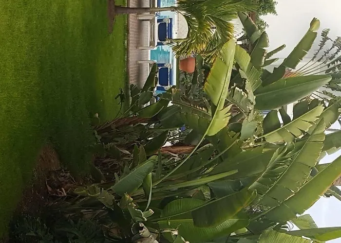 Alsol Nogal- Adults Only * Playa del Inglés