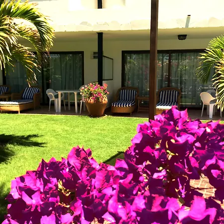 Alsol Nogal- Adults Only *