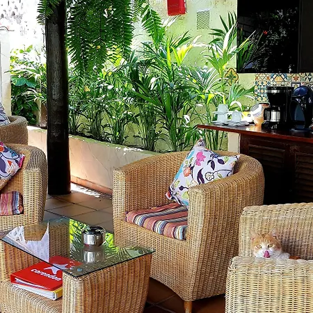 Alsol Nogal- Adults Only