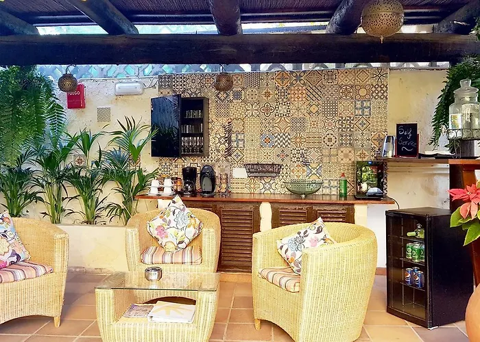 Alsol Nogal- Adults Only *