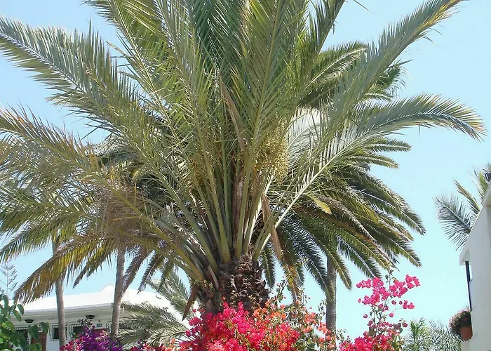 Alsol Nogal- Adults Only *