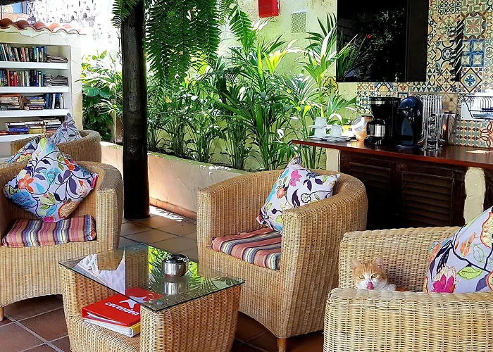 Alsol Nogal- Adults Only